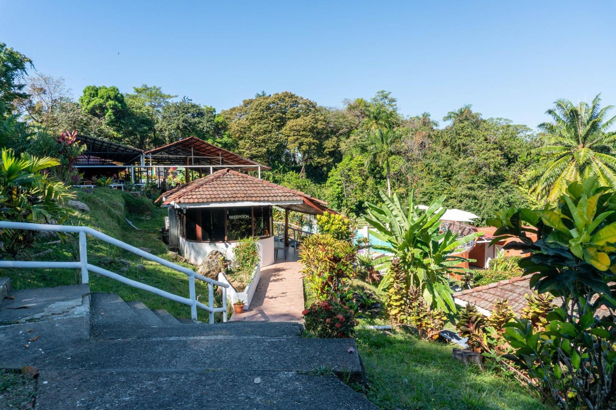 Bongo - Adults Only Hotel Manuel Antonio Kültér fotó