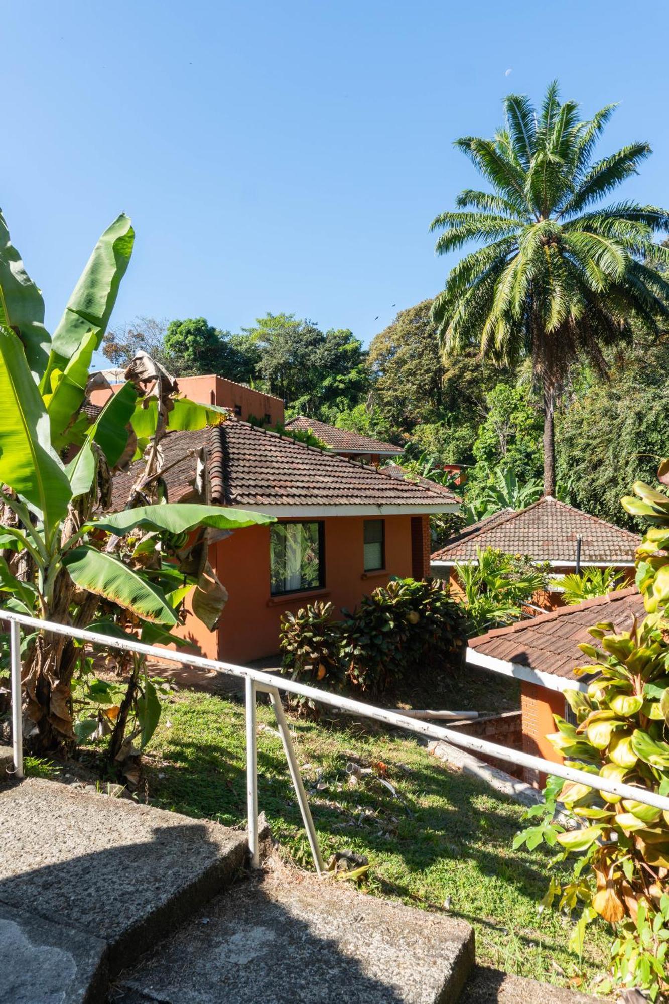 Bongo - Adults Only Hotel Manuel Antonio Kültér fotó